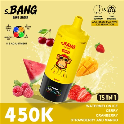 BANG LEADER 450K Puffs Vape